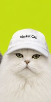 White fluffy cat wif cap